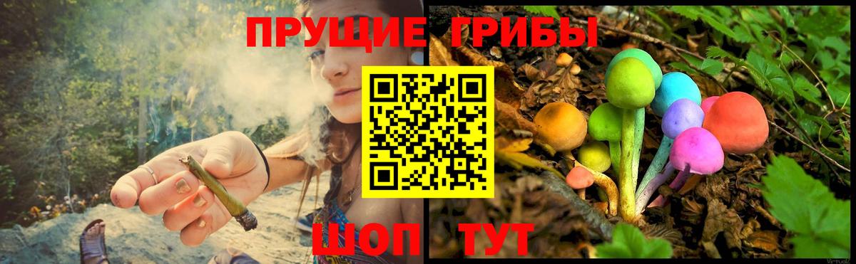 Псилоцибиновые грибы прущие грибы Сосновоборск